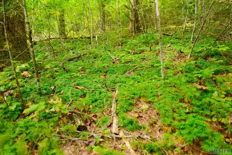 Off Jack Wilcox, Highlands, NC 28741 photo 22