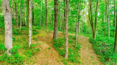 Off Jack Wilcox, Highlands, NC 28741 photo 10