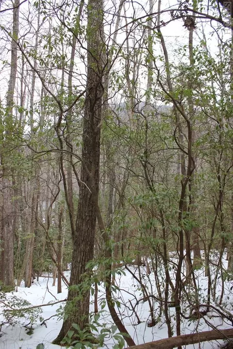 lot174 Hogback Ct, Sapphire, NC 28774 photo 4