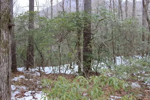 lot174 Hogback Ct, Sapphire, NC 28774 photo 2