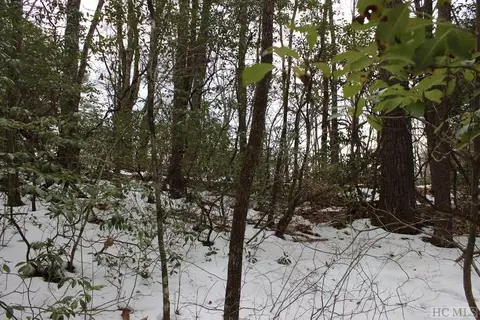 lot174 Hogback Ct, Sapphire, NC 28774 photo 3