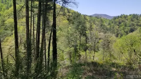 9999 Buck Creek Rd, Highlands, NC 28741 photo 3