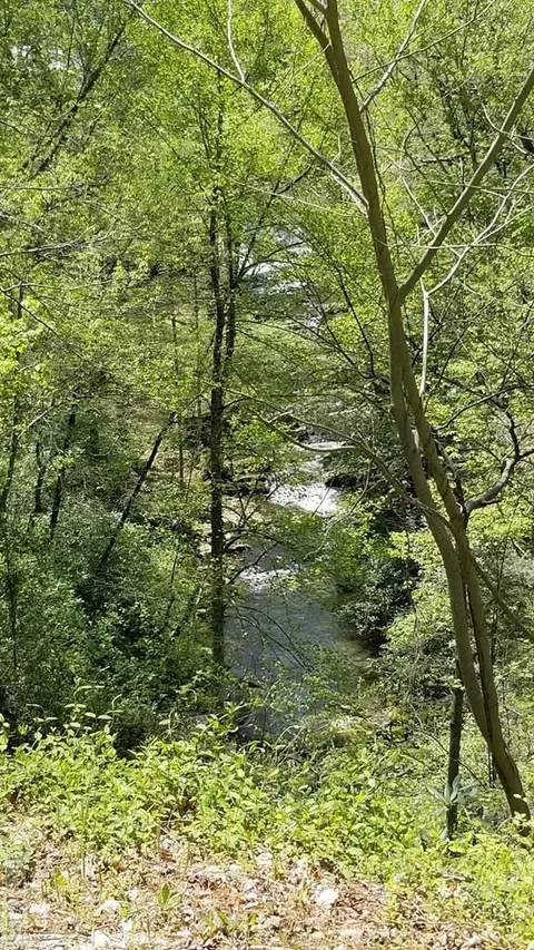 9999 Buck Creek Rd, Highlands, NC 28741 photo 9