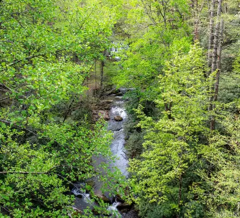 9999 Buck Creek Rd, Highlands, NC 28741 photo 6
