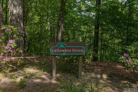 31 Red Maple Rd, Cullowhee, NC 28723 photo 15