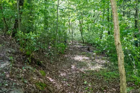 tbd Memory Ln, Cullowhee, NC 28723 photo 13