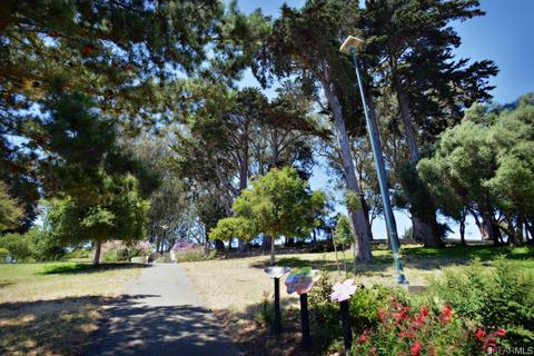 215 Crescent Ave, San Francisco, CA 94110 photo 43