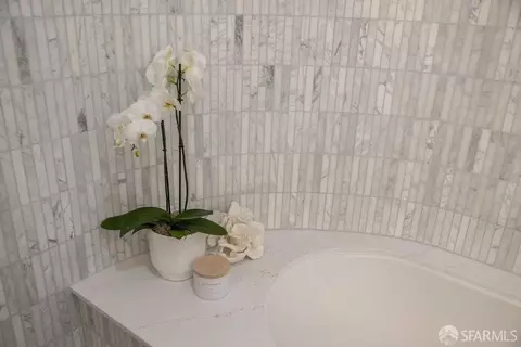 159 Bonview St, San Francisco, CA 94110 photo 64