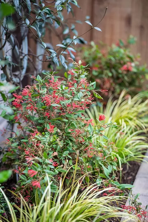 3631 Cesar Chavez St, San Francisco, CA 94110 photo 69