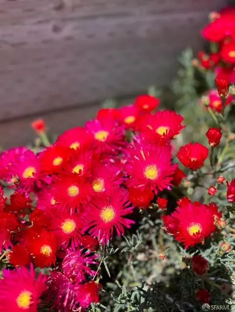 Other - 405 Cape Cod Dr, San Leandro, CA 94578 photo 9 of 10