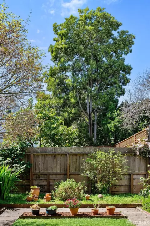 429 Baker St, San Francisco, CA 94117 photo 32