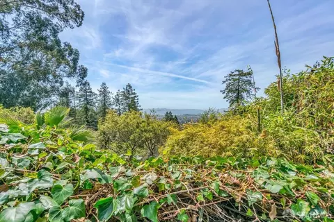 140 Bret Harte Rd, Berkeley, CA 94708 photo 68