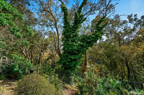 22 Crags Ct, San Francisco, CA 94131 photo 54