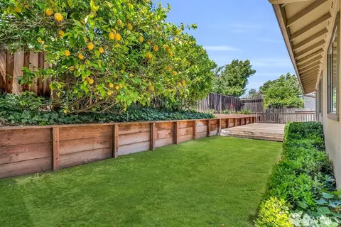 4488 Pitch Pine Ct, Concord, CA 94521 photo 47