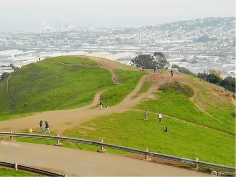 Other - 326 Virginia Ave, San Francisco, CA 94110 photo 14 of 18