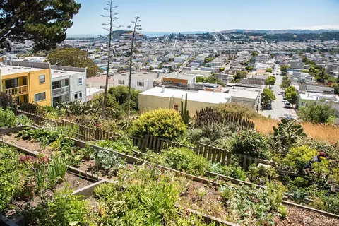 Other - 326 Virginia Ave, San Francisco, CA 94110 photo 13 of 18