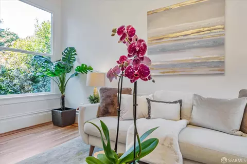 Living - 137 6th Ave, San Francisco, CA 94118 photo 6 of 6