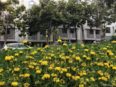1124 Eddy St #A, San Francisco, CA 94109 photo 15