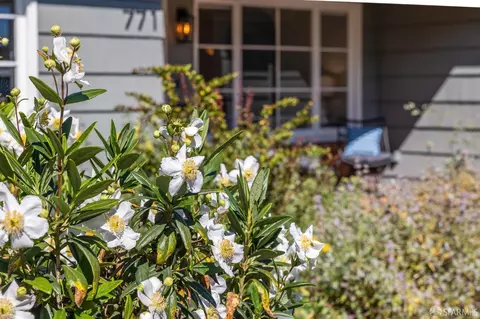 Other - 771 Creston Rd, Berkeley, CA 94708 photo 1 of 13