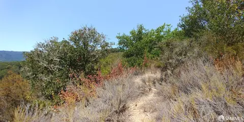 1 Poli Rd, Gilroy, CA 95020 photo 11