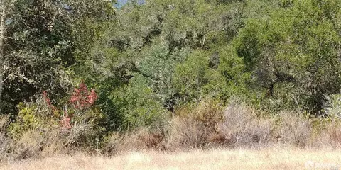 1 Poli Rd, Gilroy, CA 95020 photo 6