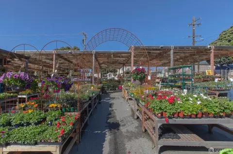 Other - 3118 Rivera St, San Francisco, CA 94116 photo 25 of 42