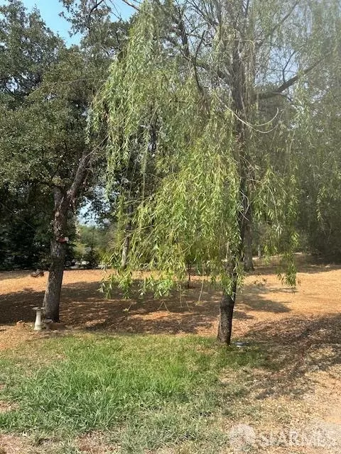 Other - 19481 N Rambling Oak Dr, Redding, CA 96003 photo 5 of 13
