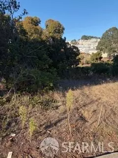 150 Chester Ave, San Francisco, CA 94132