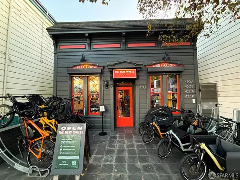 247 Gates St, San Francisco, CA 94110 photo 68