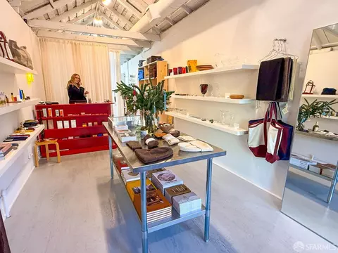 247 Gates St, San Francisco, CA 94110 photo 56