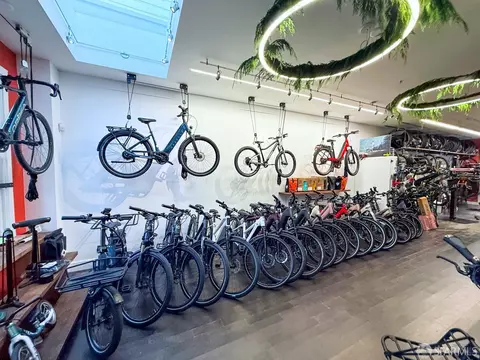 247 Gates St, San Francisco, CA 94110 photo 69