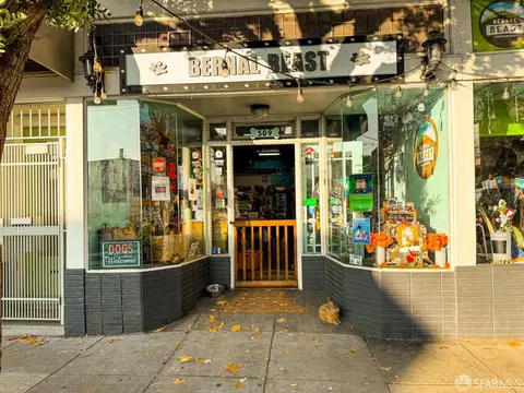 247 Gates St, San Francisco, CA 94110 photo 58