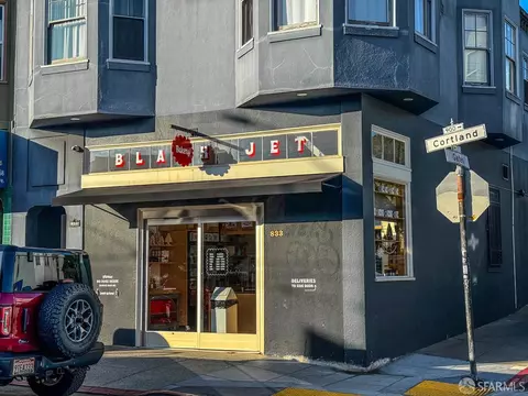 247 Gates St, San Francisco, CA 94110 photo 45