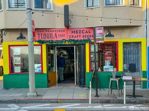 247 Gates St, San Francisco, CA 94110 photo 42