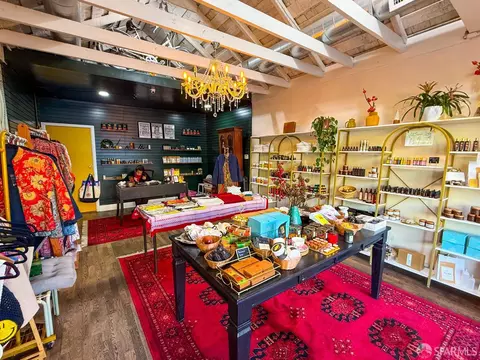 247 Gates St, San Francisco, CA 94110 photo 57