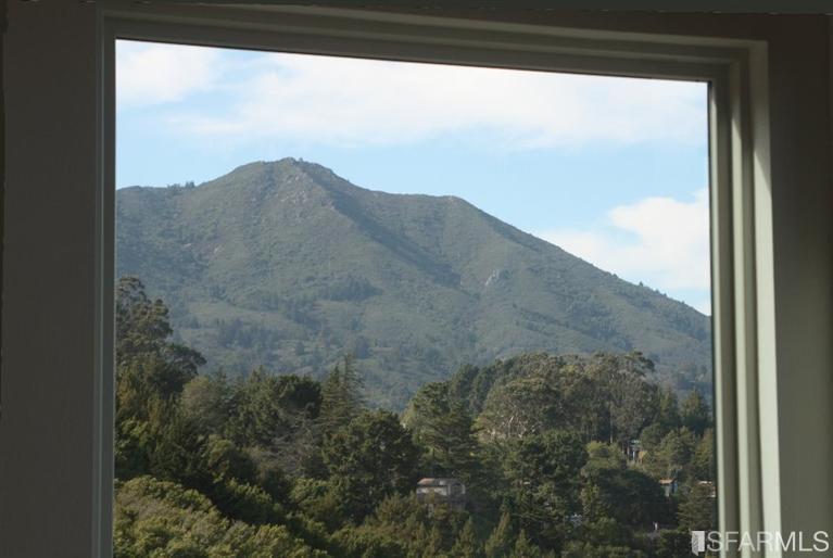 608 Amaranth Blvd, Mill Valley, CA 94941 photo 5