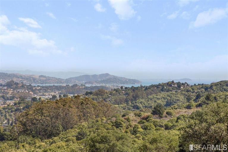 608 Amaranth Blvd, Mill Valley, CA 94941 photo 30