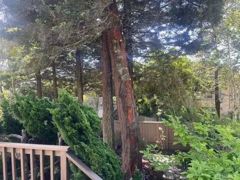 Exterior - 437 Staples Ave, San Francisco, CA 94112 photo 7 of 7
