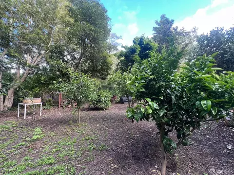 1639 Toledo Ct, Pacifica, CA 94044 photo 62