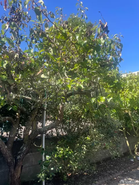 Exterior - 1663 23rd Ave, San Francisco, CA 94122 photo 7 of 13
