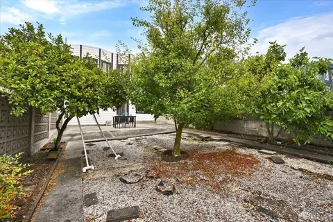 Exterior - 1663 23rd Ave, San Francisco, CA 94122 photo 4 of 13