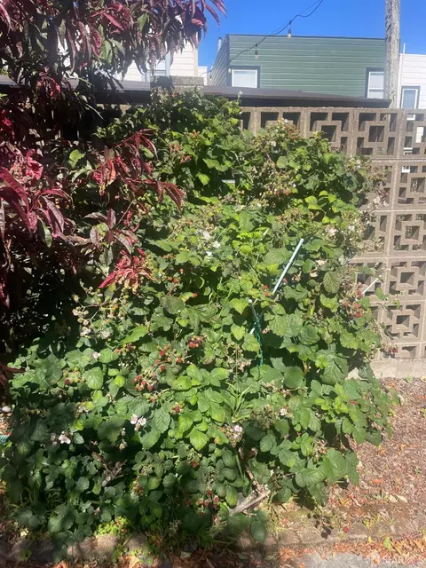 Exterior - 1663 23rd Ave, San Francisco, CA 94122 photo 12 of 13