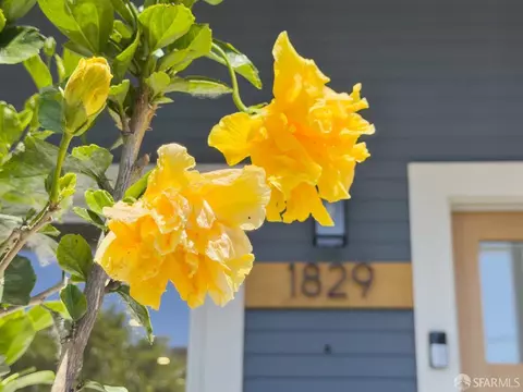 Other - 1829 Channing Way, Berkeley, CA 94703 photo 6 of 6