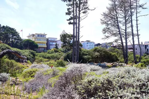 Exterior - 2 W Clay St, San Francisco, CA 94121 photo 17 of 17