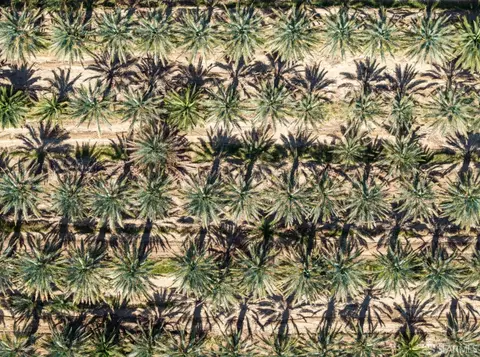 5296 Buck Rd, Brawley, CA 92227 photo 7