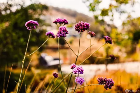 Other - 190 Amber Dr, San Francisco, CA 94131 photo 4 of 6