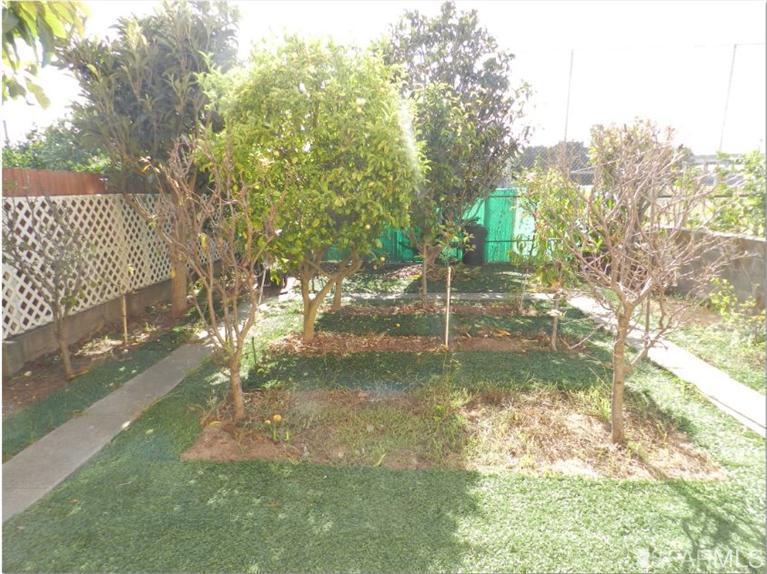 36 Ledyard St, San Francisco, CA 94124 photo 19