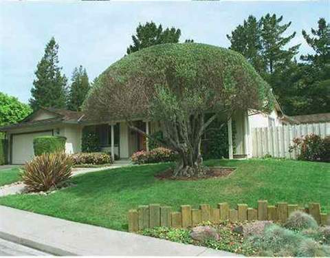 3948 Campolindo Dr, Moraga, CA 94556 photo 1