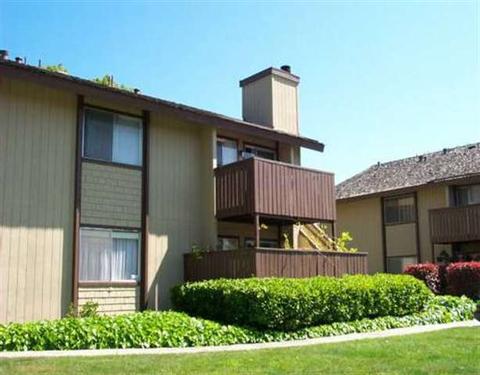 448 Caliente Dr, San Leandro, CA 94578 photo 1
