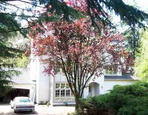 280 Rheem Blvd, Moraga, CA 94556 photo 1